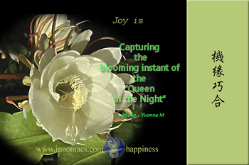Quote of happiness喜樂在心