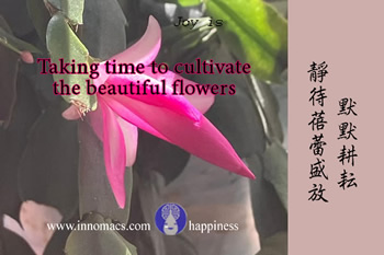 Quote of happiness喜樂在心